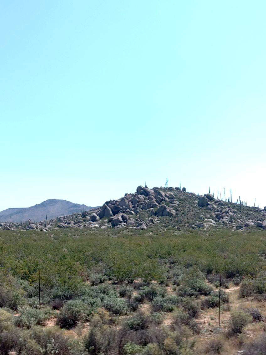 cactus hill