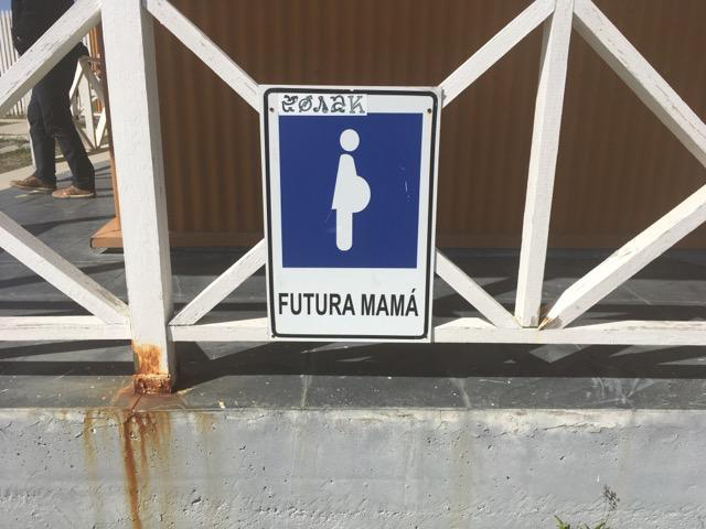 Future Mama
