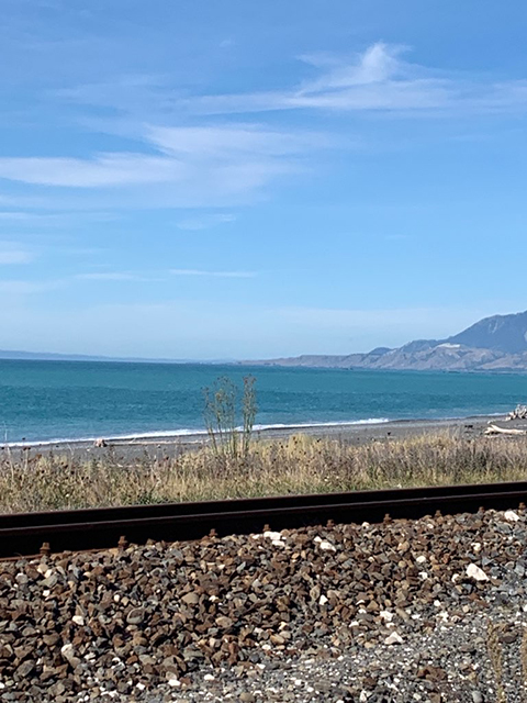 Train Tracks Along Shore